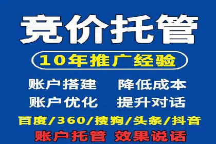 解析sem代运营公司经典案例：如何实现ROI最大化